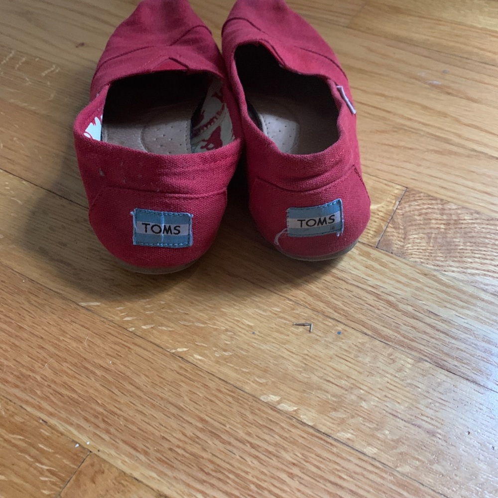 TOMS - Picture 5 of 7